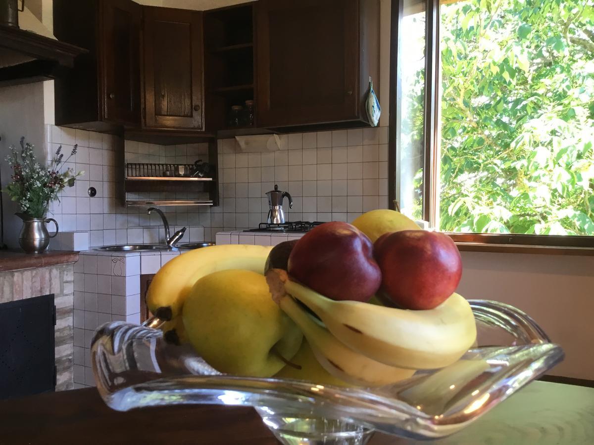 Sant'Antonio Country Resort Montepulciano Stazione エクステリア 写真